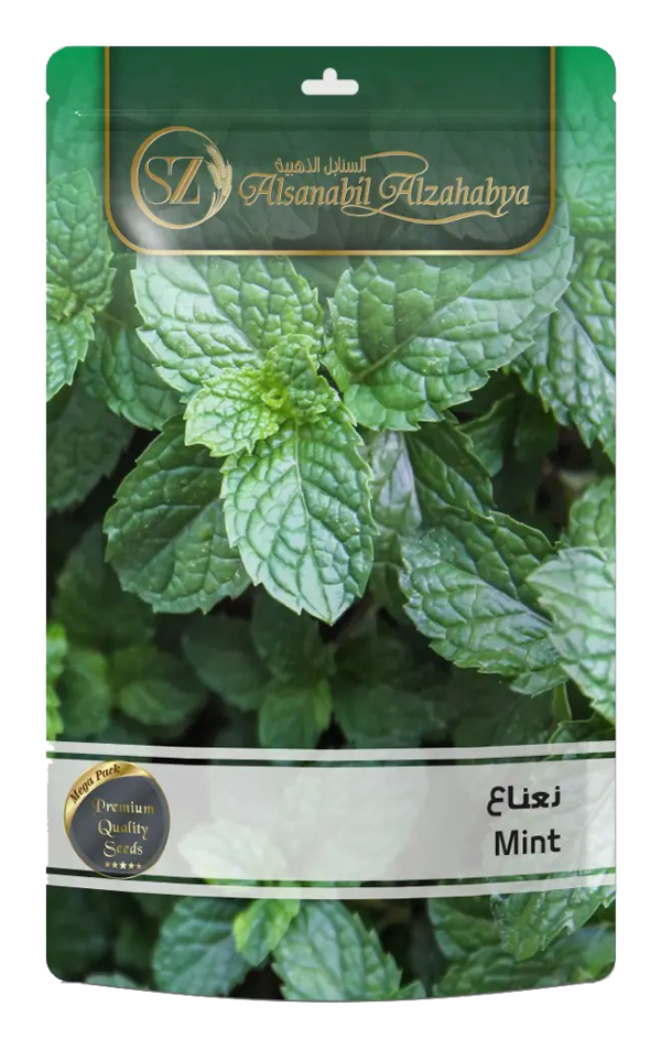 النعناع Mentha – szplants
