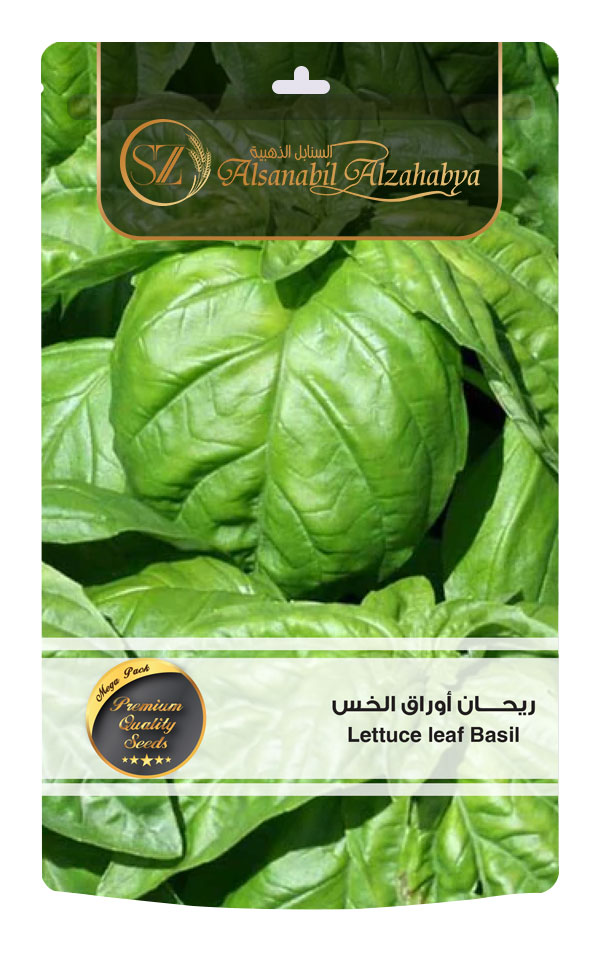 ريحان-الخس